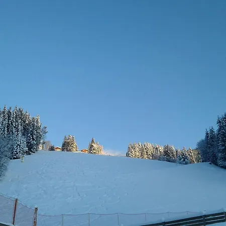 Lienbichl Apartahotel 4*